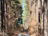  Long Lonesome Road - Photo 47