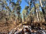  Long Lonesome Road - Photo 48