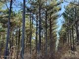  Long Lonesome Road - Photo 67