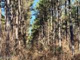  Long Lonesome Road - Photo 73