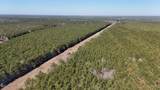  Long Lonesome Road - Photo 8