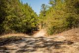  Foster Mcconnell Road - Photo 10