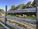 14912b 35 Highway - Photo 70
