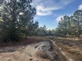 8 Acres Parker Road - Photo 4