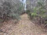 0 Magnolia Progress Road - Photo 19