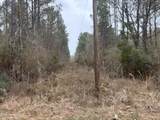 0 Magnolia Progress Road - Photo 5