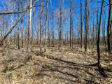 001 Robinson Springs Road - Photo 6