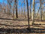 001 Robinson Springs Road - Photo 7