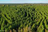 01 County Road 107 - Photo 22