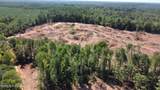 6 Cut Off Road - Photo 25