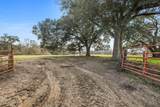 255 J P Thomas Road - Photo 3