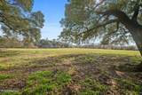 255 J P Thomas Road - Photo 6
