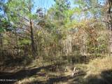  County Road 310 - Photo 10