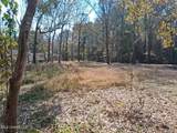 2498 Bayou Oaks Street - Photo 17
