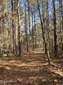  Lot 3 Whiddon Road - Photo 14