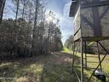  Lot 4 Whiddon Road - Photo 31