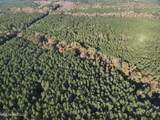  Lot 4 Whiddon Road - Photo 39