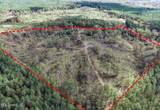 700 County Road 239 - Photo 10