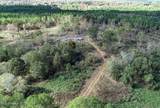 700 County Road 239 - Photo 18