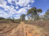 700 County Road 239 - Photo 26