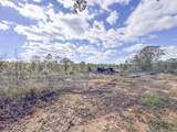 700 County Road 239 - Photo 29