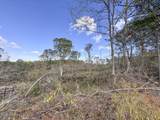 700 County Road 239 - Photo 30