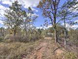 700 County Road 239 - Photo 35