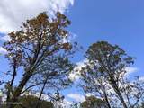 700 County Road 239 - Photo 36