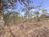 700 County Road 239 - Photo 39