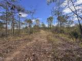 700 County Road 239 - Photo 40