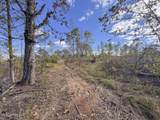 700 County Road 239 - Photo 41
