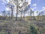 700 County Road 239 - Photo 42