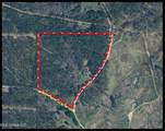 700 County Road 239 - Photo 5