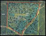 700 County Road 239 - Photo 6