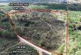 700 County Road 239 - Photo 8