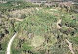 645 County Road 239 - Photo 11