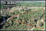 645 County Road 239 - Photo 2