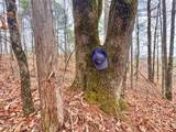 645 County Road 239 - Photo 25