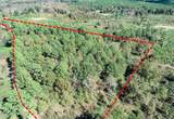 645 County Road 239 - Photo 3