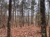 645 County Road 239 - Photo 33