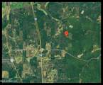 645 County Road 239 - Photo 5