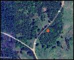 645 County Road 239 - Photo 6