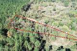 Tbd County Road 154 - Photo 10