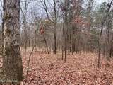 Tbd County Road 154 - Photo 12