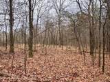 Tbd County Road 154 - Photo 13