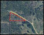 Tbd County Road 154 - Photo 5