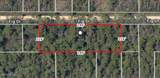 5039 Fig Drive - Photo 10