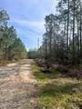 5039 Fig Drive - Photo 5