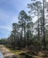 5039 Fig Drive - Photo 8