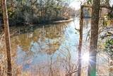 10550 Oneal Road - Photo 5
